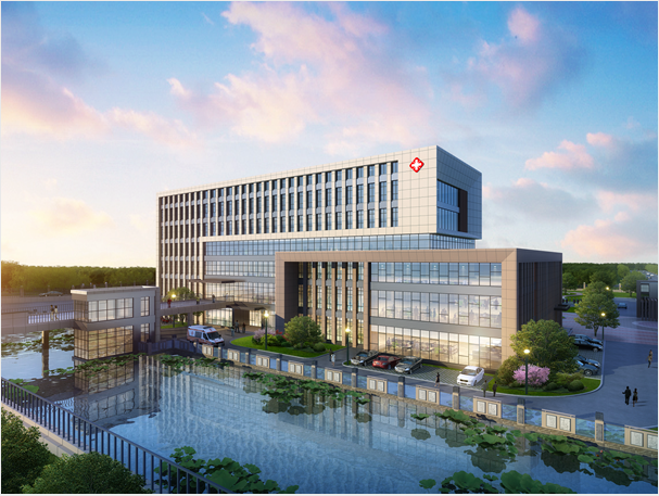 合肥八斗镇中心卫生院迁址扩建工程智慧医疗系统设计